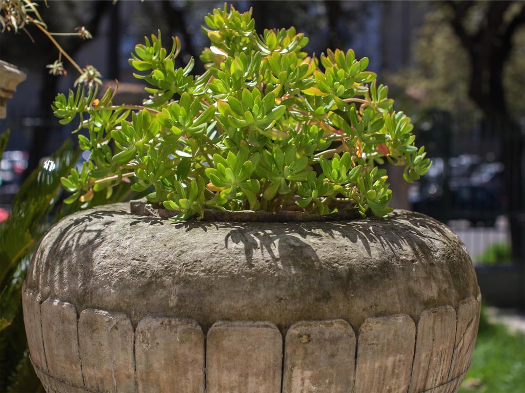 Casa Q Bed & Breakfast Lecce Bagian luar foto